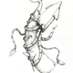 Illustration for article titled Cephalopods of Mass Destruction Stalk the Seas